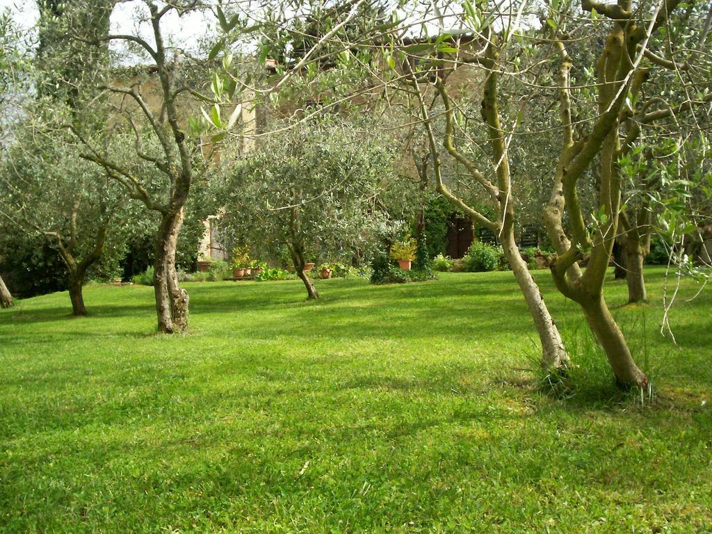 סן ג'ימיניאנו Podere Il Caggio Rooms מראה חיצוני תמונה